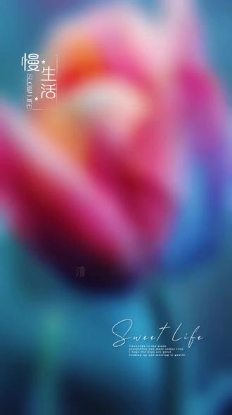 #动漫壁纸 #美女壁纸 #8K超高清壁纸#抖音壁纸 每日分享#动漫壁纸