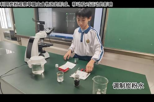 单细胞生物的崩溃:消化不良版#草履虫 #微观世界 #显微镜观察 #消化不良 #中学生物实验