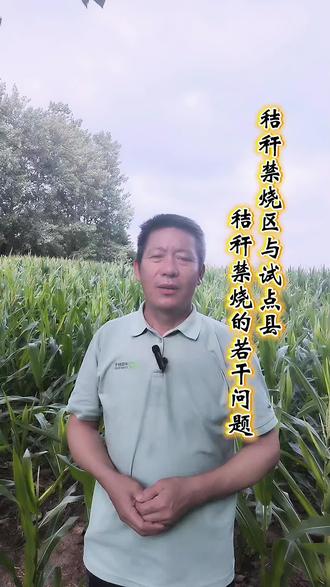 秸秆禁烧区与试点县,秸秆禁烧的若干问题 #真实生活分享计划 #田间地头实话实说 #分享三农知识帮农民增产增收 #我的乡村生活