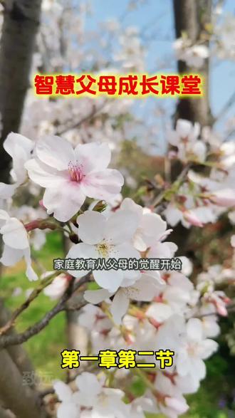 智慧父母成长课堂,第一章第二节:家庭教育从父母的觉醒开始!#智慧父母#家庭教育#亲子教育#亲子沟通