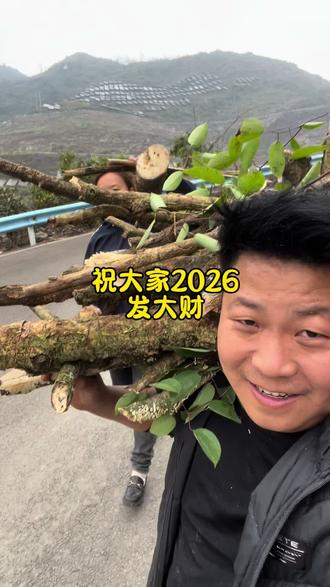 祝大家2026发大财#四锅小琴