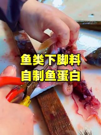 鱼类下脚料自制鱼蛋白水肥#发酵鱼蛋白水肥 #自制氨基酸水溶肥 #水肥发酵剂 #果树种植 #蔬菜种植