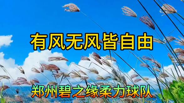 学练柔力球康乐美新套路《有风无风皆自由》