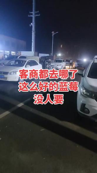 山东蓝莓也要崩盘吗?#蓝莓