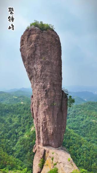 承德的磬锤峰国家森林公园,藏着许多传说故事,其中一说源于很久很久以前,这里曾是一片汪洋大海,而磬锤峰则是海眼。岸边的人以捕鱼为生,却时常受到海怪的侵扰,吞噬人命。这时,一位英勇的小伙子挺身而出,利用他的鱼叉,勇敢地刺瞎了海怪的双眼。龙王因此大怒,将这位英雄囚禁在龙宫,准备将他杀害。然而,在这危难时刻,一位龙女被这位青年的英勇所吸引,产生爱慕之情,不惜一切代价救出了他。她盗取了龙王的定海针,帮助青年逃出龙宫。龙王派遣军队追捕,龙女则用定海针堵住了海眼,这里逐渐形成了陆地。龙王无奈,只得逃往其他大海。龙女与青年结为夫妻,生活幸福美满。玉皇大帝得知此事后,派遣军队前去捉拿龙女,龙女誓死不屈,最终被点化成一棵桑树,栽种在定海针即棒槌山的半山腰。如今,这棵桑树依然年年结出白皙、硕大的桑葚,据说食用可以让人长生不老、返老还童,有情人终成眷属,甚至能保障蜜月夫妇白头偕老。
#原创视频
#磬锤峰
#棒槌山
#承德磬锤峰景区
#我的航拍日记