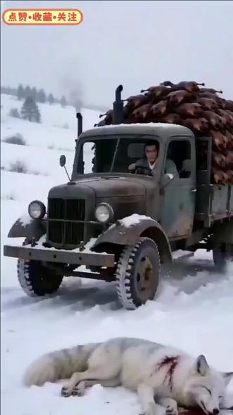 #openclaw #雪山狐狸
大龙虾指令,全程自动化!