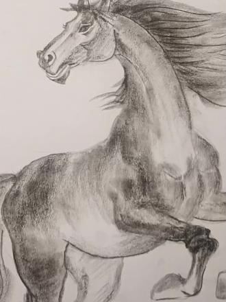 马年就该有马的样子#马#手绘 #画画教程 #手绘教程 #炭笔画 #素描