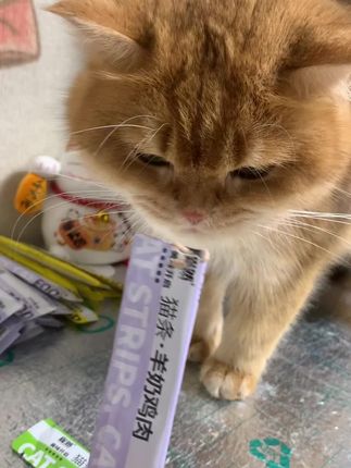 强烈推荐大家一定要买雀然家猫条,性价比贼高,猫咪嘎嘎爱吃#雀然猫条 #雀然 #主食猫条 #猫草猫条 #羊奶猫条