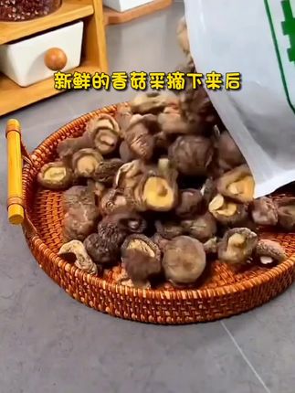 #优质农产品 #农产品 #福建古田干香菇 @巨量千川