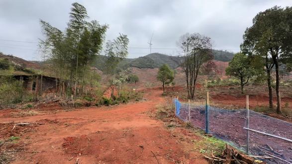 清明节给先人送金银,除了钱财,有样东西千万别忘带。
口袋里装一把大米或小米,烧金银时边烧边撒,虔诚念出这四句:
此米落地,阴阳两利,祖先得食,佑我顺利。
做法简单,心意虔诚,看到就等于做到。
#清明祭祖 #清明习俗 #人生感悟#治愈系风景
