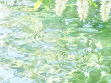 汥z之手2026.05.21(纸条2.0)@𝑇.汥信💌ᶻˣ @𝑇.z💤(招工作组) #听潮阁汥信 #听潮阁z #汥z之手 #听潮阁二创 #听潮阁凌云山河图二创