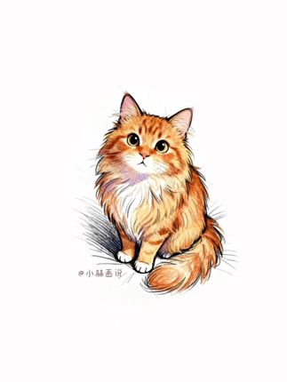 小猫每次喝完水都要等主人夸两句才肯离开#画画 #小猫咪能有什么坏心眼 #猫咪的心思都写在脸上了