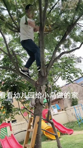 人与自然和谐共处,小鸟也喜欢和孩子一起