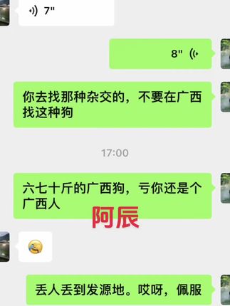 今天遇到广西人要找70斤的广西田园犬想想就觉得好丢广西人的脸 #创作灵感 #田园犬 #中华田园犬 #田园犬 #家有中华田园犬 @DOU+上热门