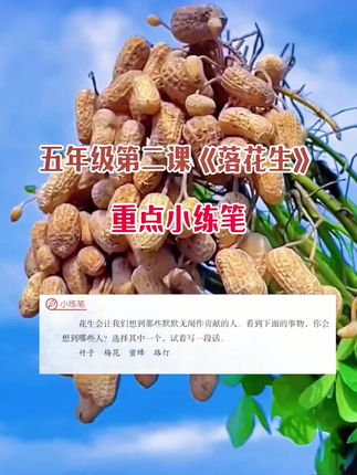 《落花生》课后小练笔 五年级作文和小练笔越来越难,可以给孩子准备这本#同步作文 小练笔+单元习作一本搞定!有方法,有范文,有素材金句!#小学作文 #语文 #学霸秘籍