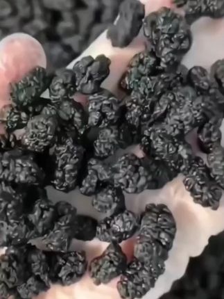 桑葚干大果罐装黑桑葚子泡水泡茶 正宗原果桑葚干 免洗桑葚干饱满#热门视频 #上热门🔥 #桑葚干