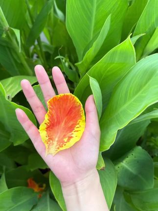 别涂太多,能吸收就行!#强烈推荐#亲测分享