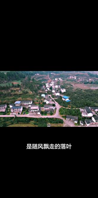 “明明我的根在这里,偏偏新生的枝桠不识得我,好像我才是那年兽,鞭炮响了我就来,鞭炮响完我就走。”