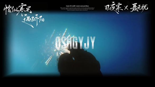 下辈子不一定 还能遇见你 所以我很珍惜 不敢大意#恰似寒光遇骄阳#司夜寒聂无忧#曦嘉归