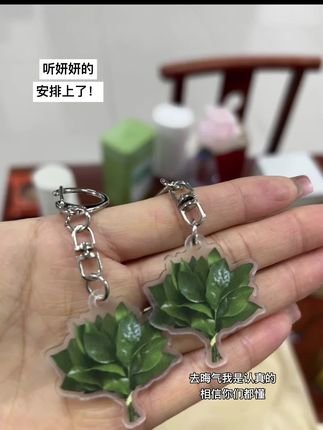听妍妍的!!先把柚子叶挂件挂上去去晦气,懂得都懂!#许妍 #许我耀眼#柚子叶 #柚子叶去晦气 #许妍同款柚子叶挂件安排上了