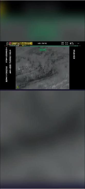 在皮老师指挥下成功下货今晚第一头佩奇@西北血手公益护农队 @西北蹦山虎 @皮老师 @西北血手-摄影柿子 @西北血手公益护农队(生活号) #还有这种操作 #西北血手公益护农队 #汪汪队 #汪汪队立大功