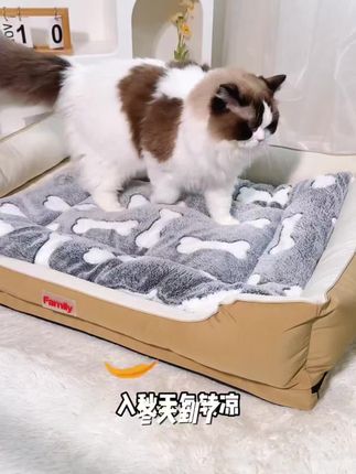 猫咪睡垫狗垫子秋冬款毛毯冬天狗窝猫垫保暖毯子宠物狗狗睡觉用垫#养猫新手 #宠物用品 #每日分享 #强烈推荐