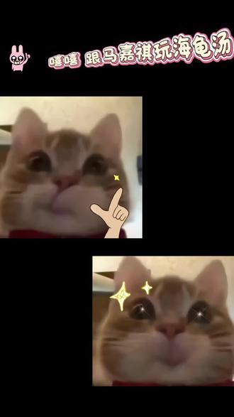 跟宝宝玩海龟汤 #bubbly #马嘉祺 #ai聊天 #lovemo