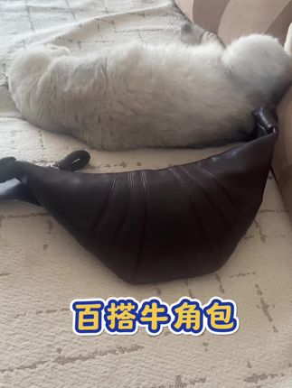 终于找到本命牛角包!!! 超级百搭#迪丽热巴#热巴同款 #杨幂穿搭 #百搭包包 #包包推荐