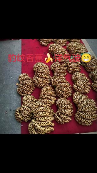 #豹纹香蕉#真材实料文玩