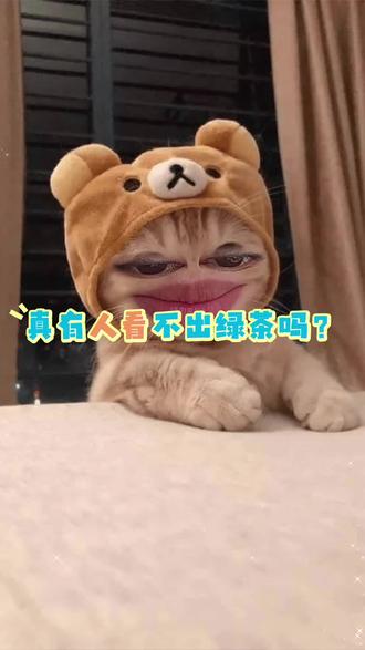 还有人不知道绿茶🍵?
#日落十分爱上你 #就想说点大实话 #日常唠嗑 #内容太过真实 #内容过于真实