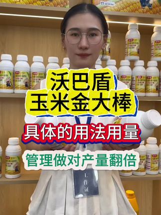#玉米金大棒#玉米高产技术#玉米增产增收#服务三农助力三农 #玉米种植技术