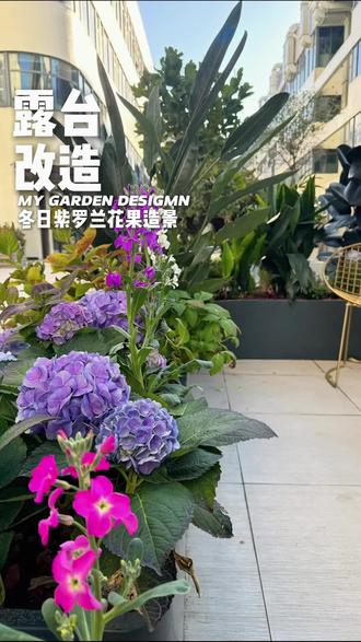 把小森林搬上了屋顶🌿造一座会生长的花园。从晨光初露到暮色四合,每一刻都是自然温柔的拥抱。#屋顶花园 #花园设计#庭院景观设计施工#栖木明庭景观#随州园林景观