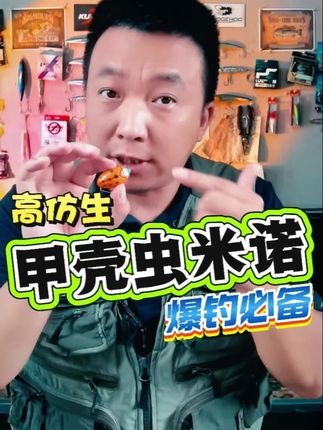 夏季爆钓必备路亚饵:高仿生甲壳虫米诺 #路亚 #路亚饵 #路亚新手入门教程 #路亚钓鱼 #路亚教学