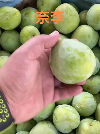 福建古田奈李#新鲜采摘 #快来一起尝个鲜 #奈李