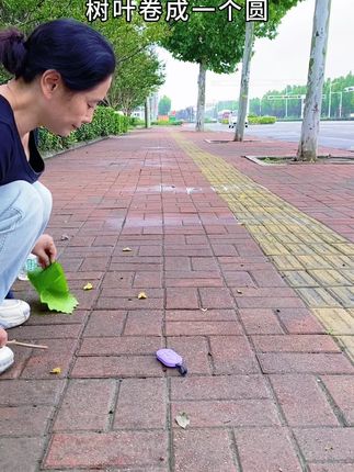 一条小路这样拍太美了,教你用一片树叶拍创意视频#手机摄影 #拍摄技巧 #蓝牙遥控器