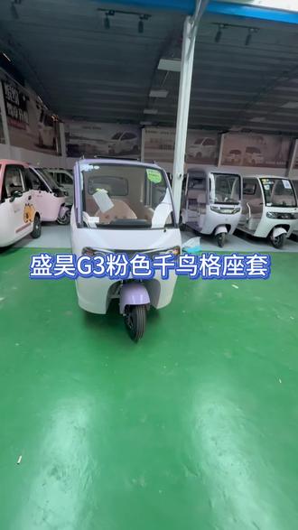 盛昊G3粉色千鸟格座套