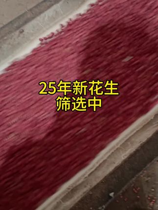 2025年新花生,筛选中#花生 #新花生米 #红皮花生 #四粒红花生