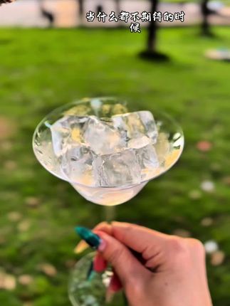 #蓝莓酒#果酒@DOU+小助手