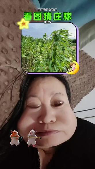 不知道怎么去说就是红高粱呀