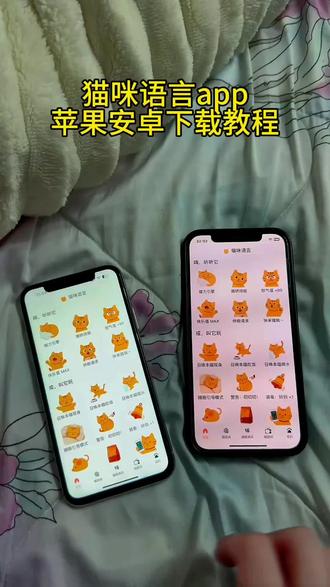 《石头大全》猫咪语言app苹果安卓下载教程#猫咪语言 #逗猫神器 #召唤猫咪