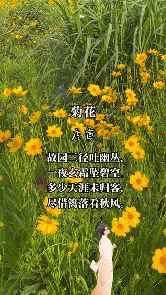 欣赏古诗。唐伯虎这首四句短章《菊花》,先绘故园菊绽霜落,再写天涯游子借菊思归,景是故园,情在天涯。一景一情相牵,让秋菊成跨山越水的乡愁载体,读来如品一杯秋的清茗,初觉菊香清雅,再品便是乡情绵长。
诗意:故乡庭院里的小径旁,一丛丛菊花悄然绽放,吐露出清冽的幽香。一夜之间,深秋的白霜从高远的碧空纷纷坠落,将天地染得清寒,却让菊的芬芳越发醇厚。世间有多少漂泊天涯、未能归乡的游子啊,此刻或许正倚着他乡的篱笆,凝望着眼下的秋风与秋菊。
首句“故园三径”化用陶潜“三径就荒”之典,暗示归隐地或故乡庭院。“吐幽丛”描绘菊花在小径旁悄然绽放,不张扬却散发着幽香,营造出静谧的氛围。次句以“玄霜”喻霜,霜从天降,既点明时节,又赋予画面清冷、空灵之感。后两句笔锋一转,由景及人,从故乡的菊花转向天涯游子。“多少天涯未归客”以问句的形式,将情感从个人的乡愁扩展到所有在外的游子,道出对漂泊的无奈与对归乡的渴望。末句借景抒情,游子们隔着他乡的篱笆,望着秋风中的菊花,“看秋风”是借这相似的他乡景致,遥想故园的模样,寄托对故乡的深深眷恋。“借”字极妙,既写出游子无法回到故园的无奈,只能借他乡的菊景聊慰乡愁,也体现了乡愁的绵长与深沉。
全诗以菊为载体,借物抒情,前两句写故园菊,是乡愁的“源”,后两句写天涯望菊,是乡愁的“流”。诗人没有直白抒思乡之情,而是将情融入景中,以景衬情,使乡愁更具感染力。诗中流露出的孤独、苍凉,也反映了诗人坎坷人生经历与内心世界。这首诗以简洁的语言,生动的意象,将自然之美与人文之情完美融合,既展现了菊花的高洁品质,又抒发了诗人对故乡的思念与对人生的感慨,体现了唐寅诗歌“疏狂里藏深情”艺术特质。
#每日古诗词 #中华文化传承