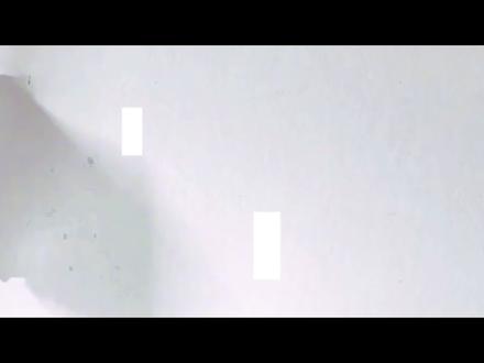 萨武vlog | 人生第一座雪山vlog 谨以此视频记录我的萨武之行#萨武神山 #雪山 #自由和远方 #vlog