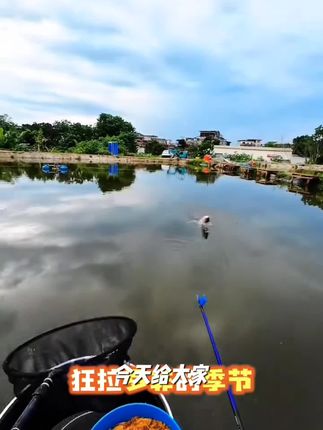 威拓森玩好炮台竞技支架鱼竿碳素钓鱼竿架大物竿钓箱超硬黑坑专用#钓鱼知识 ##旅行 #钓鱼装备 #钓大鱼
