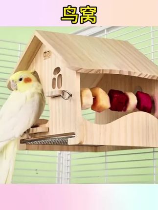 #鸟窝 #鸟窝推荐 #实木鸟窝 鹦鹉鸟窝木屋四季通用抽拉不锈钢底网虎皮牡丹小太阳玩耍躲避#鸟窝别墅 #鸟窝视频