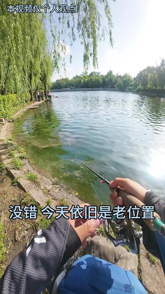 明辨是非 抵制路亚不良风气@钓之猪-假饵搬运工 @钓之猪路亚 #路亚 #钓友 #路亚才是顶级户外运动 #中国路亚天花板