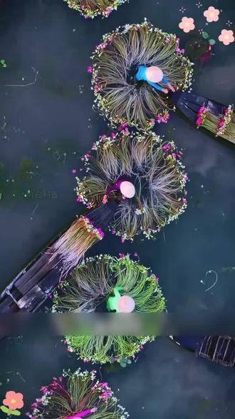 美的像一幅画的地方,越南湄公河 #奇怪的知识增加了 #看世界 #老铁知识百科