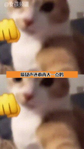 毛孩子吃鲜朗,我吃拼好饭,咱俩幸福就完事了#鲜朗 #鲜朗狗粮 #鲜朗央视网鉴证放心宠粮 #看鉴放心宠粮