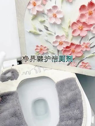 德国原装进口Deckman象瓷净界臻护洁厕剂-DG03#好物推荐🔥 #洁厕剂推荐 #洁厕剂