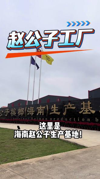 匠心造,品质严。
赵公子工厂,以标准立厂,以匠心制茶。
精挑细选,层层质检,只为一口地道海南风味。#赵公子工厂#赵公子槟榔 #符旺真 #工作日常记录 #抖音记录美好生活