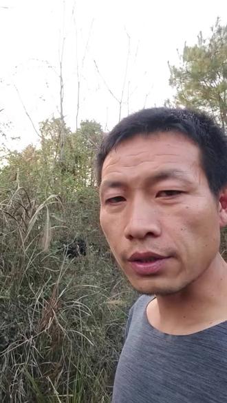 放羊的不用装,打工的不敢真#农村创业养殖 #我的乡村生活 #养羊人 #这是个真实的事情